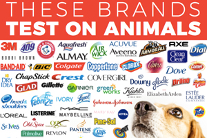 Cruel Companies