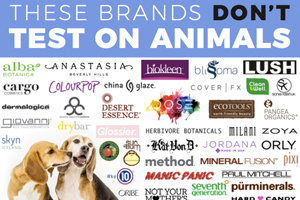 Ethical Companies